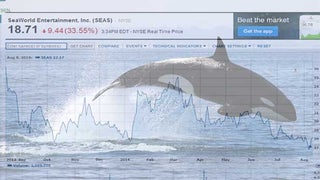 ‘Blackfish’ Director on SeaWorld’s Sinking Share Price: It Could ‘Spur Meaningful, Massive Change’