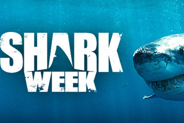 Shark Week Trivia, Games