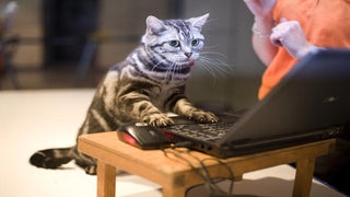 A Goodbye Message: Please Click Good Things