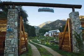 ‘Utopia’ Canceled by Fox, Live Stream to End on Sunday