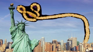 Ebola Spreads to New York: Cable News Networks Go Wall-to-Wall
