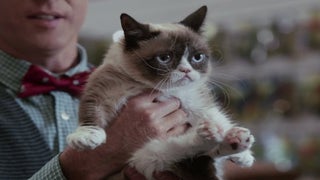 ‘Grumpy Cat’s Worst Christmas Ever’ Review: Lifetime Movie Is a Holiday Trifle