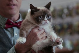 ‘Grumpy Cat’s Worst Christmas Ever’ Review: Lifetime Movie Is a Holiday Trifle
