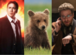 Left Behind, Bears and The Interview