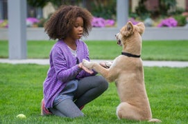‘Annie’ Reviews Are In: More Bad News for Sony