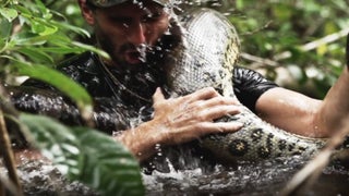 Discovery’s ‘Eaten Alive’ Swallows 4.1 Million Viewers