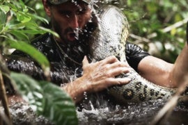 Discovery’s ‘Eaten Alive’ Swallows 4.1 Million Viewers