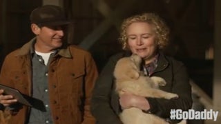 GoDaddy Yanks Super Bowl Puppy Ad After SPCA Slams It As ‘Supporting Inhumane Breeding’ (Video)