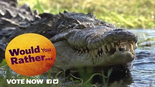 Nat Geo Puts Programming up to Viewer Vote With ‘Would You Rather’