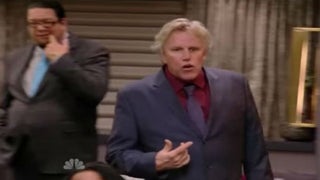 Gary Busey Strikes Woman With Car in Malibu