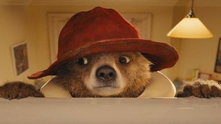 Paddington Bare? Students Exposed to Pornographic Images During Film Screening