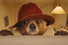 Paddington Bare? Students Exposed to Pornographic Images During Film Screening