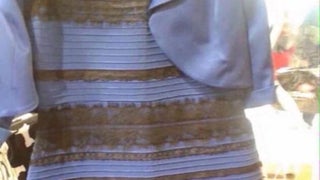 Twitter Scorecard: #TheDress vs. Net Neutrality vs. Runaway Llamas