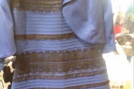 Twitter Scorecard: #TheDress vs. Net Neutrality vs. Runaway Llamas
