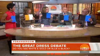 #TheDress Debate Divides ‘Today Show,’ ‘Good Morning America,’ KTLA Morning News Team (Video)