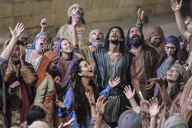 the dovekeepers