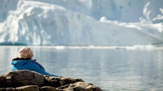Cannes: Oscar Winner Luc Jacquet’s ‘Ice and the Sky’ Closing Film Festival