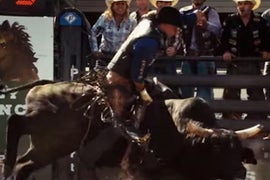 PETA Protest Planned for ‘The Longest Ride’ Premiere Over Animal Cruelty (Updated)
