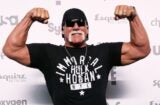 hulk hogan