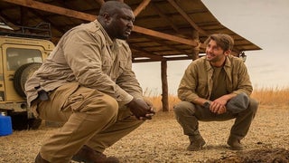 ‘Zoo’ Review: James Wolk and Big Cats Save Summer Sci-Fi Series