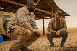‘Zoo’ Review: James Wolk and Big Cats Save Summer Sci-Fi Series