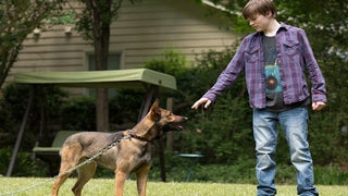 ‘Max’ Review: Old-Fashioned Tale of a Heroic Mutt Gets Surprisingly Dark
