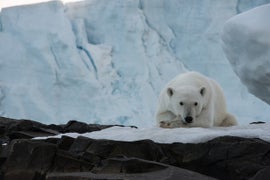 Guardian Issues New Style Guide: ‘Climate Change’ Is Now ‘Climate Emergency’