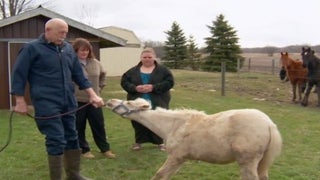 ‘The Incredible Dr. Pol’ Premiere Pulls Biggest Audience in Nat Geo Wild History