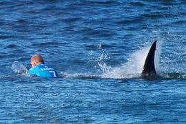 Pro Surfer Mick Fanning Narrowly Escapes Shark Attack – Caught on Live TV (Video)