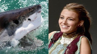 Blake Lively in Negotiations to Star in Sony’s Shark Movie ‘In the Deep’ (Exclusive)