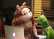 The Muppets