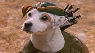 ‘Wishbone’ Feature Film in the Works From Universal Pictures and Mattel