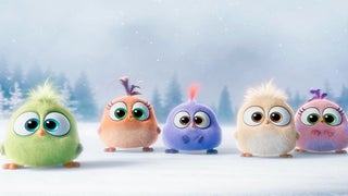 ‘Angry Birds Movie’s’ Adorable Hatchlings Forget the Words to ‘Deck the Halls’ (Video)