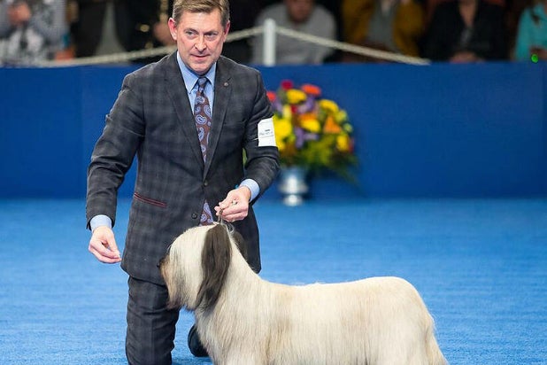 charlie skye terrier