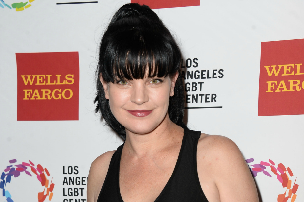 Pauley Perrette Mr Skin