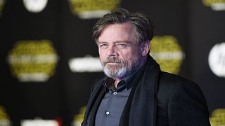 Mark Hamill Blasts Donald Trump’s Cabinet as ‘Really Despicable People’