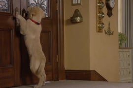 ‘Fuller House’ Teaser Gets Super-Creepy Horror Movie Makeover (Video)