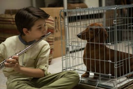 Todd Solondz and His ‘Wiener-Dog’ Delight With Morbid Humor