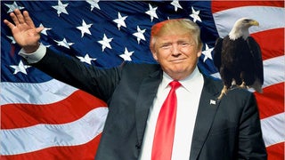 Donald Trump Is a Dream Candidate, Except for One Thing