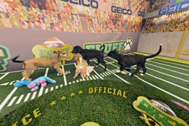 Puppy Bowl XII’s Cuteness Gets Virtual Reality Treatment (Video)
