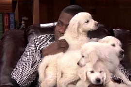 Tracy Morgan and Jimmy Fallon Battle for All the Puppies on ‘Tonight Show’ (Video)