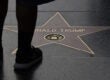 Donald Trump star