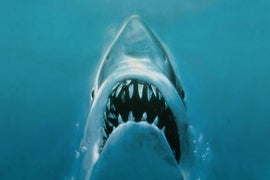 ‘Inside Jaws,’ About Steven Spielberg’s Rise, Lures Hollywood Interest (Podcast)