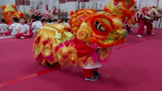 ‘Little Couple’s’ Will Proves to Be a Natural at Lion Dancing (Exclusive Video)
