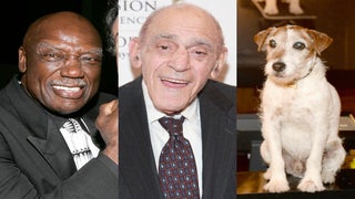 Oscars In Memoriam Snubs Include Abe Vigoda, Tony Burton, Uggie the Dog (Video)