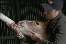 Ratings: ‘Super Bowl’s Greatest Commercials’ Carries CBS Across Tuesday Goal Line
