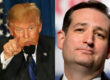 trump cruz