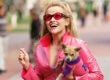 Bruiser and Reese Witherspoon in Legally Blonde 3