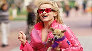 Bruiser Woods, ‘Legally Blonde’ Chihuahua Star, Dies at 18
