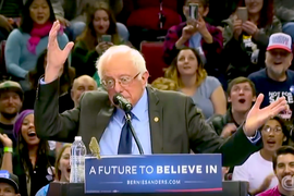 Meet #BirdieSanders, Winged Bernie Sanders Supporter Who Won Over the Internet